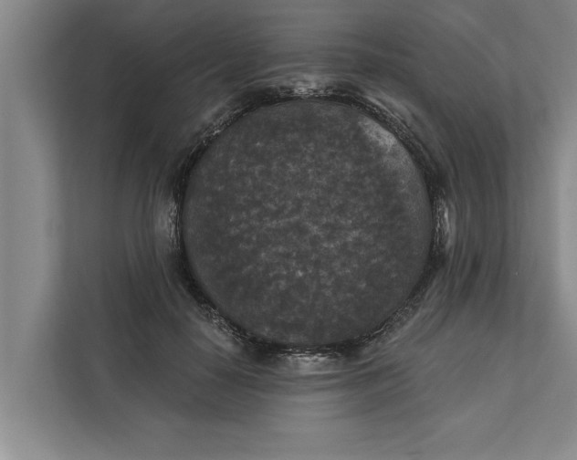 X0000112350650200908271234