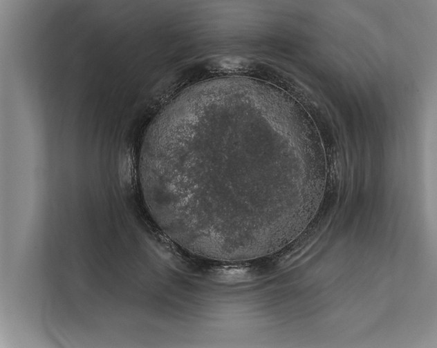 X0000112350651200908271234