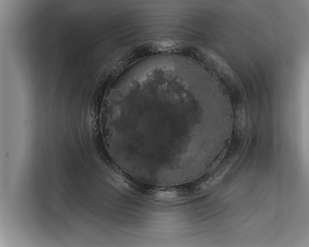 X0000112350653200908271234