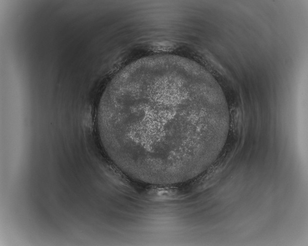 X0000112350655200908271234