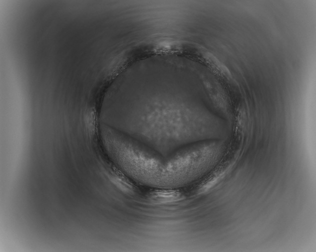 X0000112350659200908271234