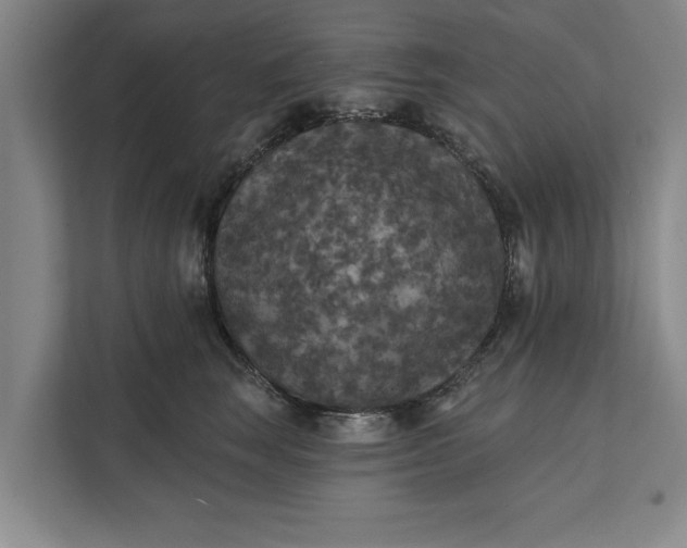 X0000112350663200908271234