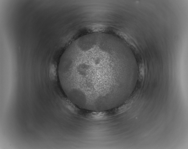 X0000112350667200908271234