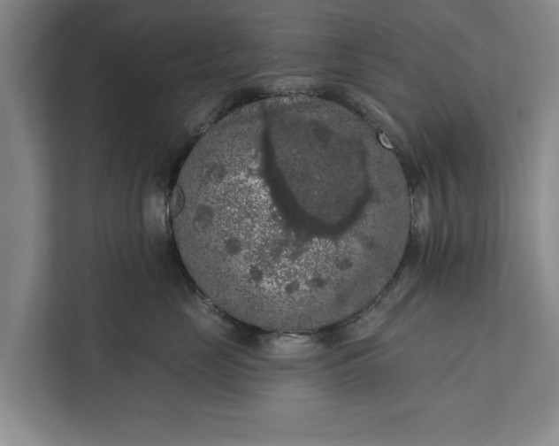 X0000112350669200908271234