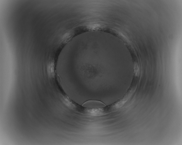 X0000112350670200908271234