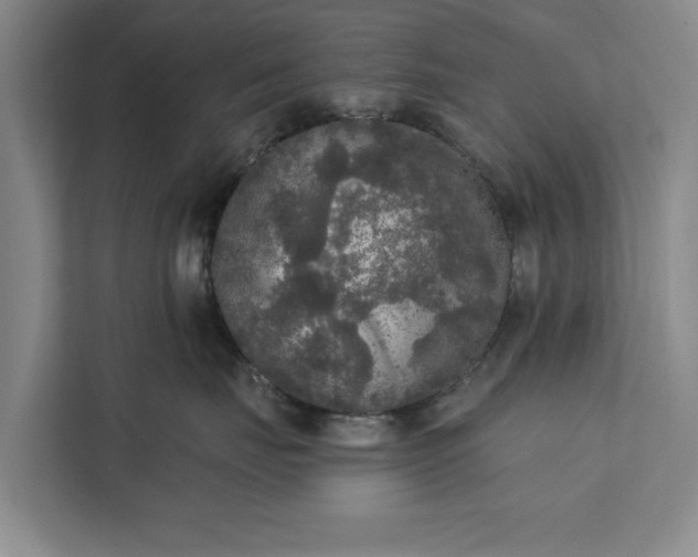 X0000112350671200908271234