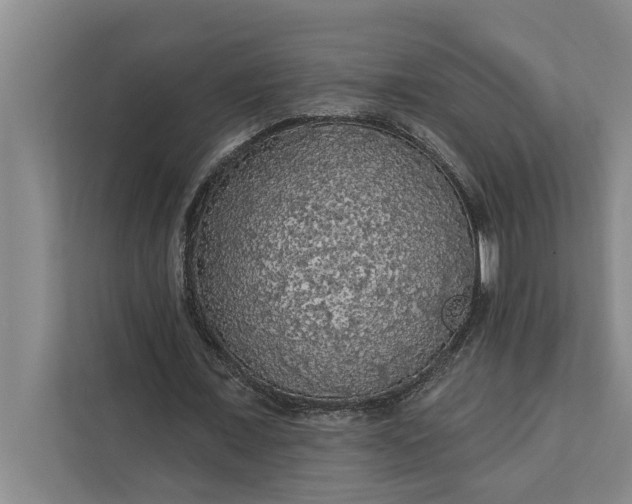 X0000112350675200908271233