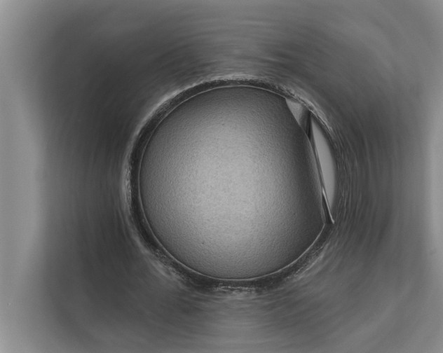 X0000112350676200908271233