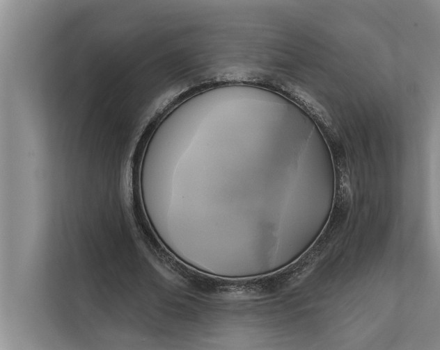 X0000112350678200908271233