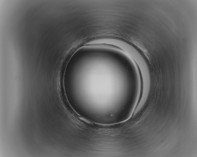 X0000112350681200908271233