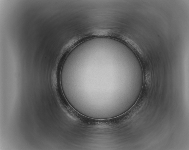 X0000112350682200908271233