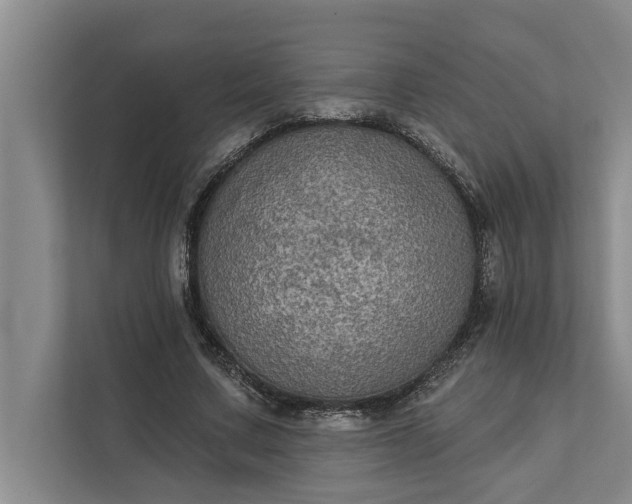 X0000112350683200908271233