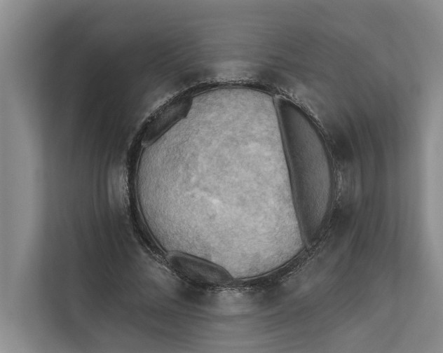 X0000112350684200908271233