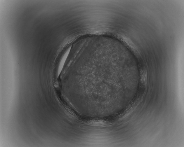 X0000112350685200908271233