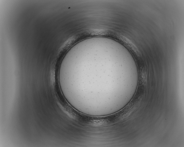 X0000112350686200908271233