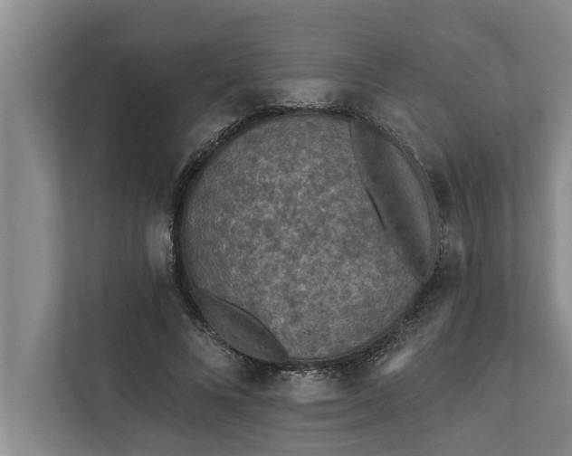 X0000112350688200908271233