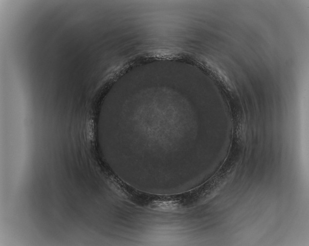 X0000112350689200908271233