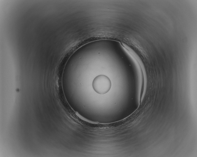 X0000112350692200908271233