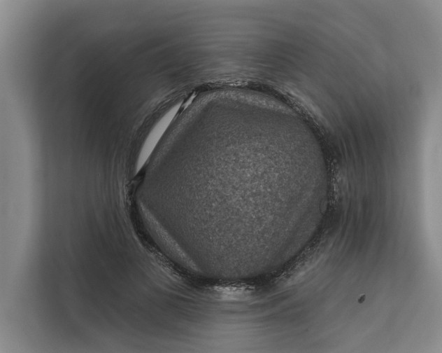 X0000112350693200908271233