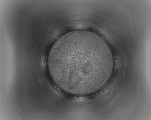 X0000112350695200908271233