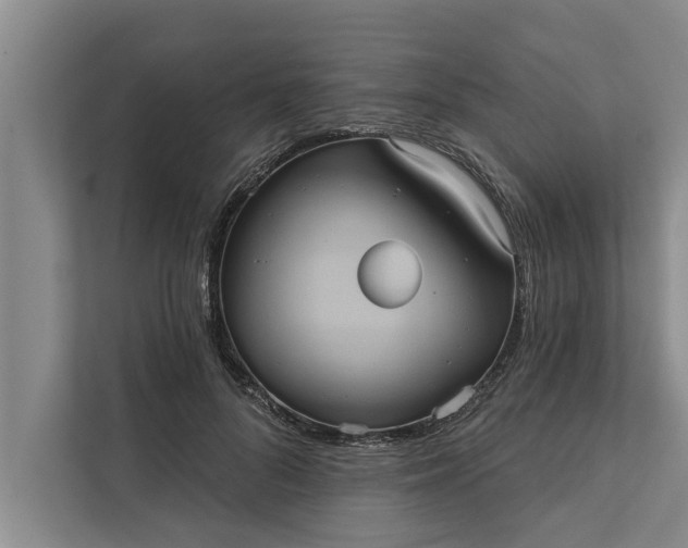 X0000112350696200908271233