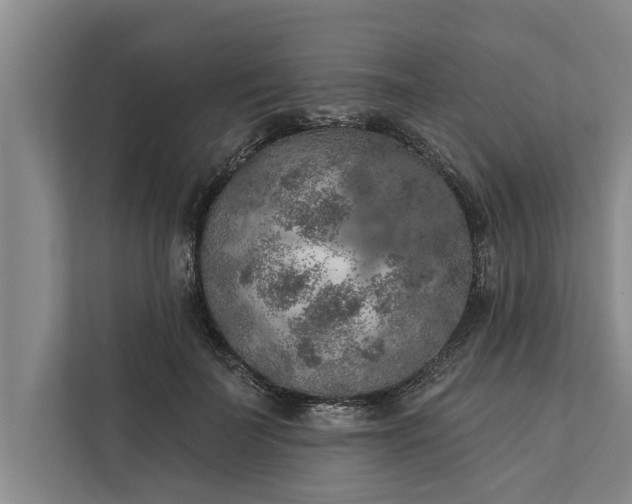 X0000112350699200908271233