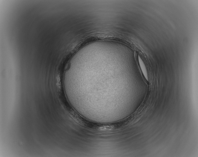 X0000112350700200908271233