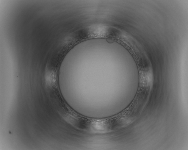 X0000112350701200908271233