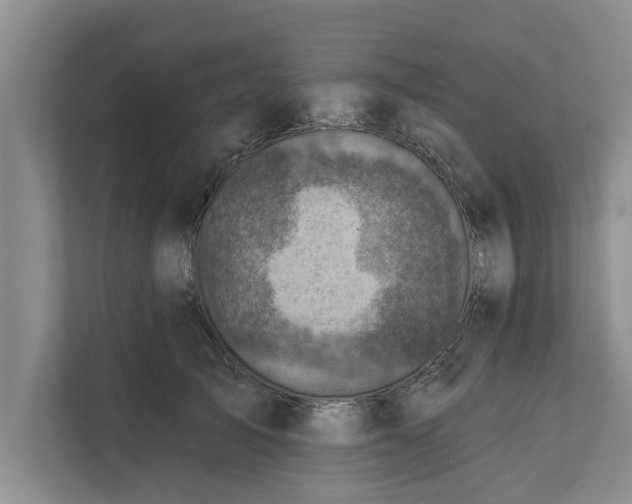 X0000112350705200908271233