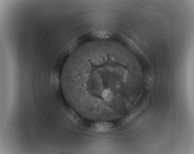 X0000112350707200908271233