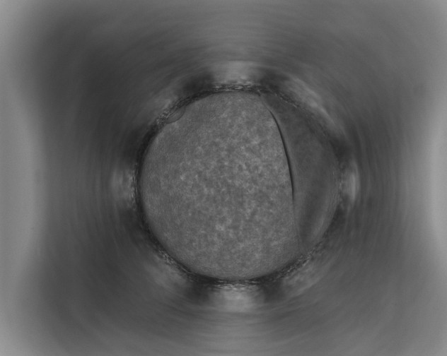 X0000112350708200908271233