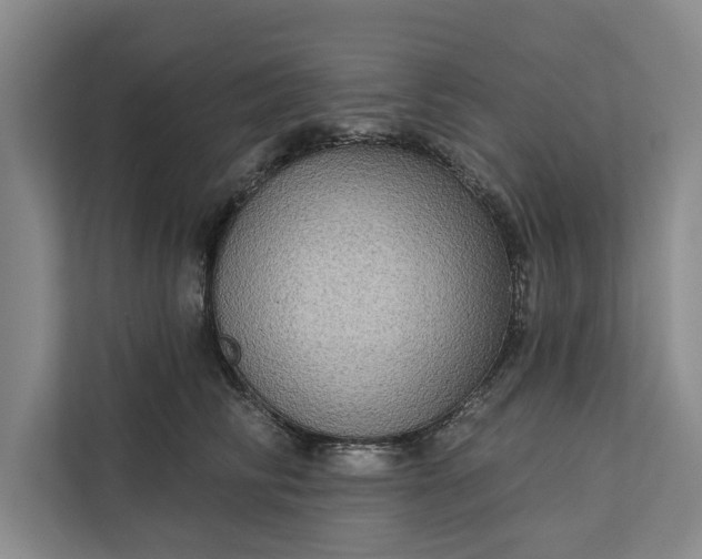 X0000112350710200908271233