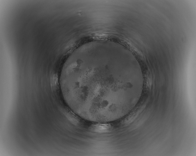 X0000112350711200908271233