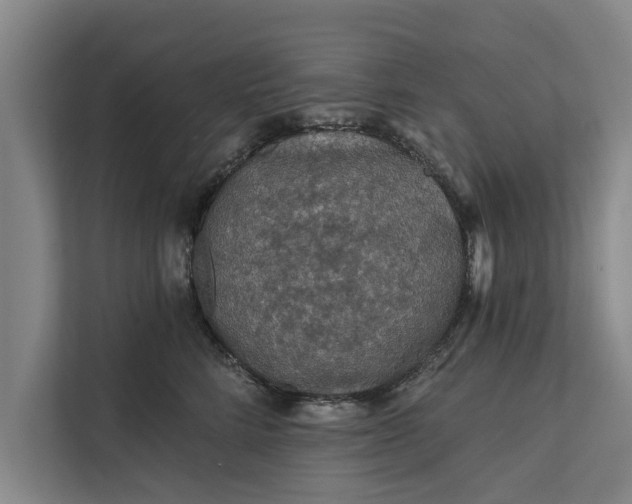 X0000112350712200908271233