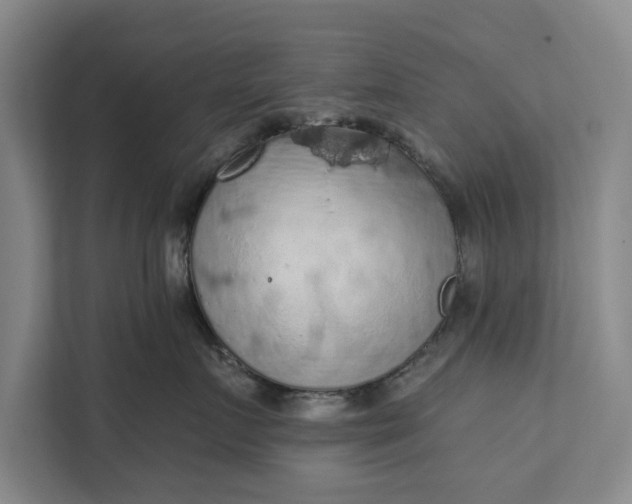 X0000112350719200908271233