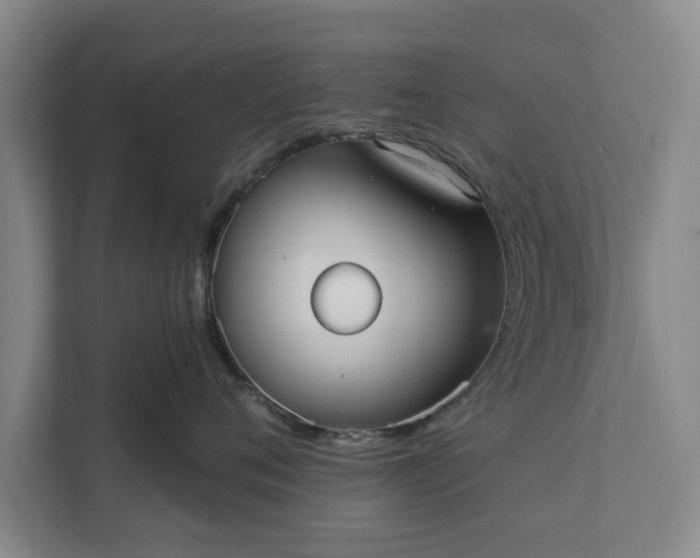 X0000112350720200908271233