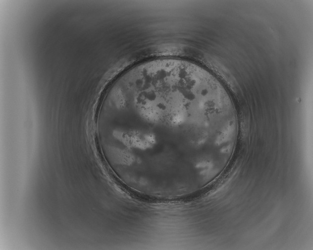 X0000112350721200908271232