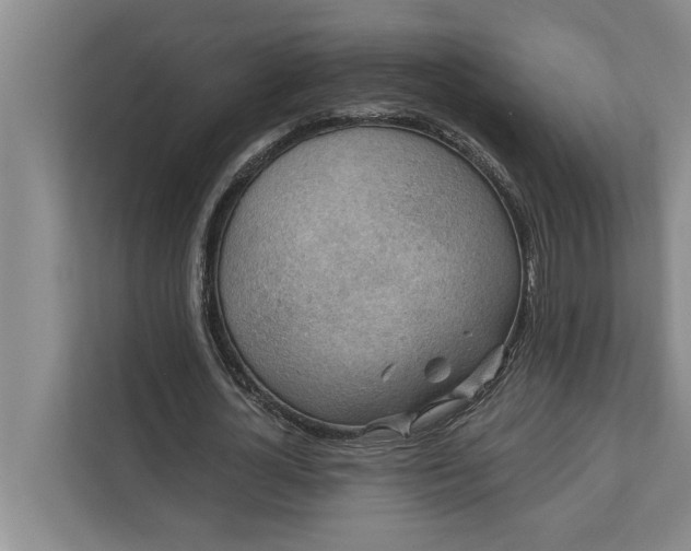 X0000112350724200908271232