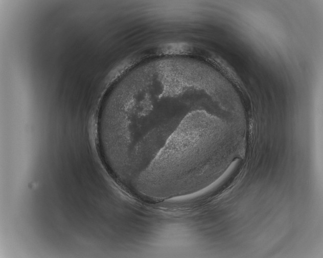 X0000112350725200908271232