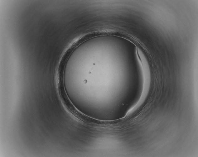 X0000112350726200908271232