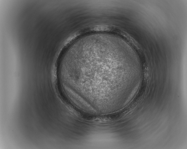 X0000112350727200908271232