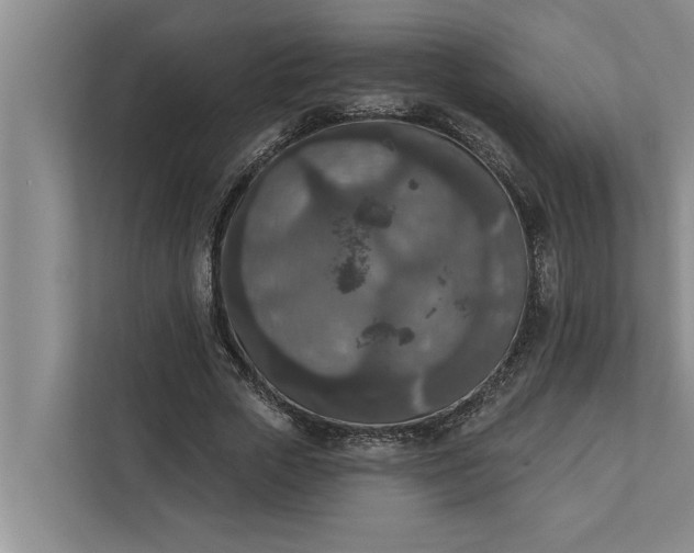 X0000112350729200908271232