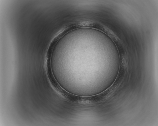 X0000112350730200908271232