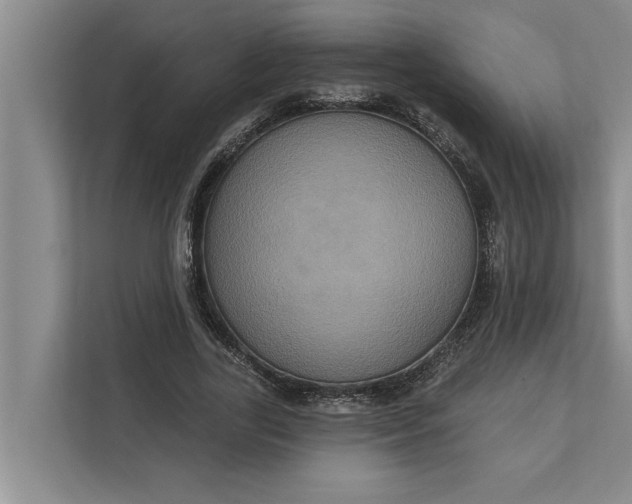 X0000112350731200908271232