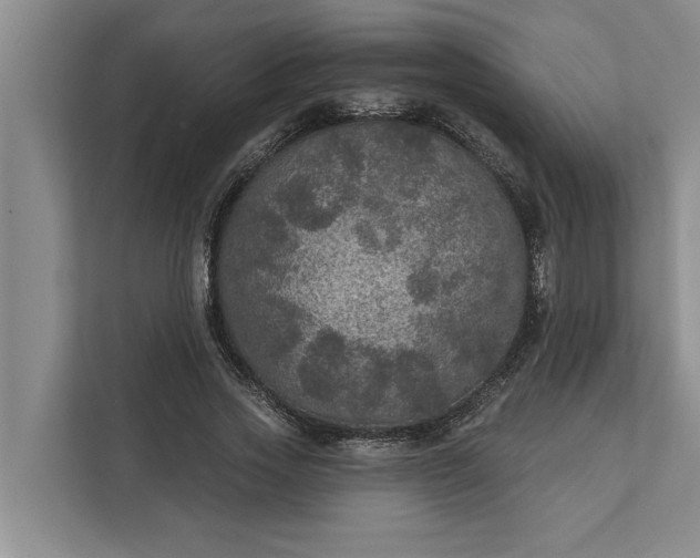 X0000112350733200908271232