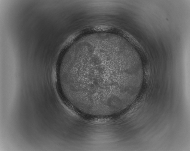 X0000112350734200908271232