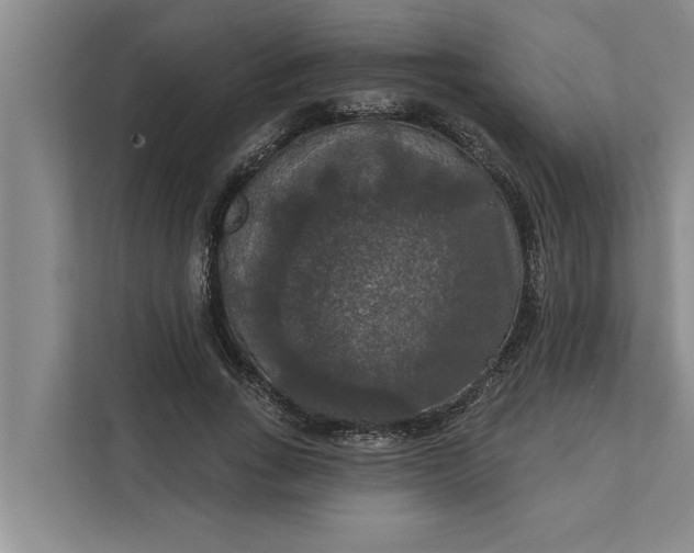 X0000112350735200908271232