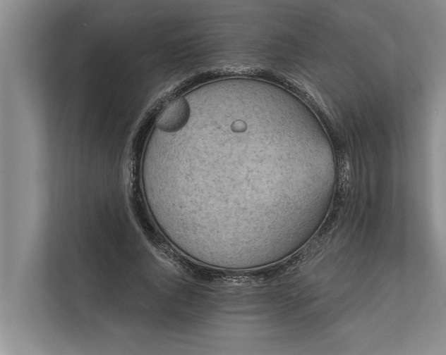 X0000112350736200908271232