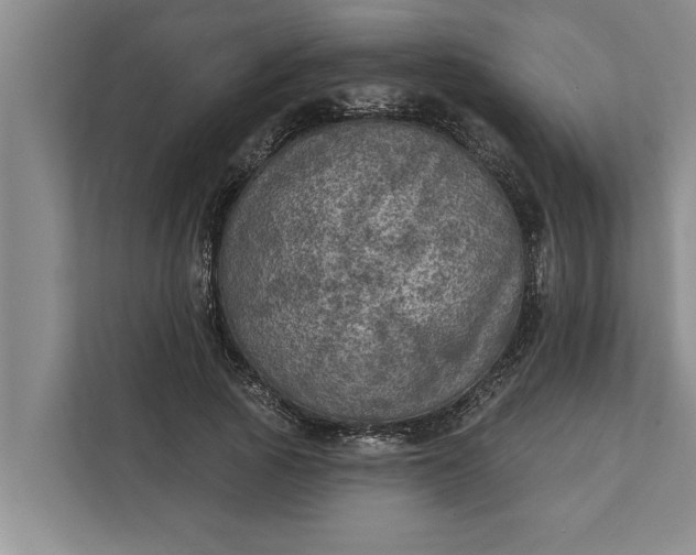 X0000112350737200908271232