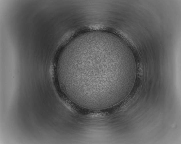 X0000112350738200908271232